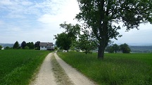 Blick auf die Wanderstrecke nach Mehlberg