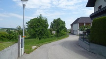 Blick auf die Wanderstrecke in Mehlberg