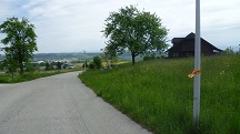 Blick auf die Wanderstrecke in Mehlberg