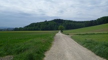  Blick auf die Wanderstrecke