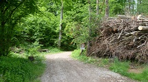  Blick auf die Wanderstrecke