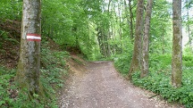  Blick auf die Wanderstrecke