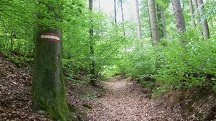  Blick auf die Wanderstrecke