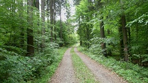  Blick auf die Wanderstrecke