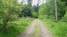 Blick auf die Wanderstrecke