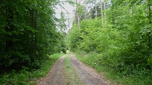  Blick auf die Wanderstrecke