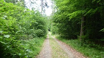  Blick auf die Wanderstrecke
