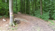  Blick auf die Wanderstrecke