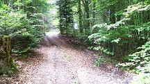  Blick auf die Wanderstrecke