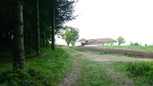 Blick auf die Wanderstrecke beim Weiler Schn