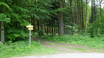  Blick auf die Wanderstrecke