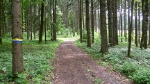 Blick auf die Wanderstrecke