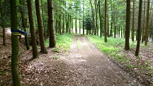  Blick auf die Wanderstrecke