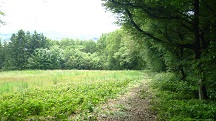  Blick auf die Wanderstrecke