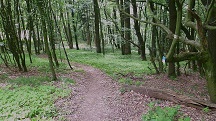  Blick auf die Wanderstrecke 