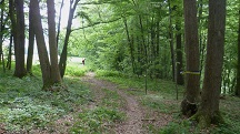  Blick auf die Wanderstrecke 