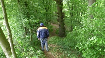  Blick auf die Wanderstrecke 