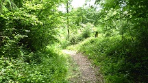  Blick auf die Wanderstrecke 