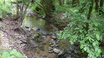 Blick auf den Grblerbach 