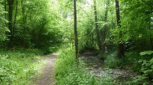 Blick auf die Wanderstrecke entlang des Grblerbachs