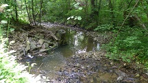  Blick auf den Grblerbach 