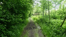 Blick auf die Wanderstrecke entlang des Grblerbachs