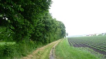  Blick auf die Wanderstrecke beim Marienhof 