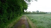  Blick auf die Wanderstrecke beim Marienhof 