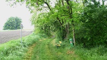  Blick auf die Wanderstrecke 