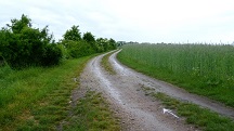  Blick auf die Wanderstrecke 