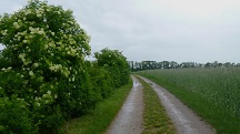  Blick auf die Wanderstrecke 