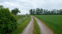  Blick auf die Wanderstrecke 