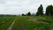 Blick auf die Wanderstrecke beim Friedhof 