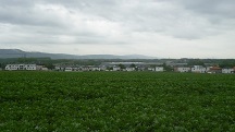 Fernblick zur neuen Siedlung "Im Mitterfeld"