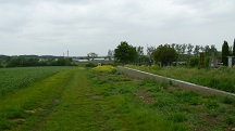 Blick auf die Wanderstrecke beim Friedhof 