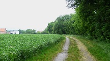  Blick auf die Wanderstrecke 
