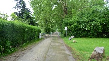 Blick auf die Wanderstrecke auf der Lindenallee
