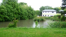 Blick zum Biotop in der Lindenallee