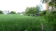 Blick auf die Wanderstrecke kurz nach der Labestelle