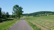  Blick auf die Wanderstrecke entlang des Michelbachs 
