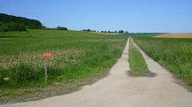  Blick auf die Wanderstrecke 