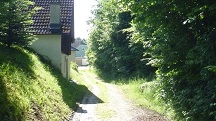 Blick auf die Wanderstrecke in Furth bei Auerkasten 