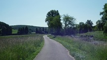 Blick auf die Wanderstrecke entlang des Stssingbachs 