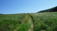  Blick auf die Wanderstrecke 