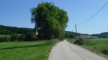 Blick auf die Wanderstrecke nach St. Peter am Anger 