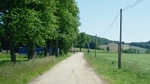 Blick auf die Wanderstrecke bei St. Peter am Anger 