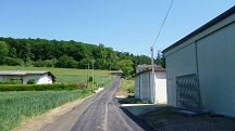 Blick auf die Wanderstrecke bei St. Peter am Anger 