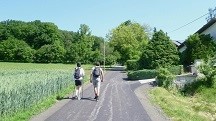 Blick auf die Wanderstrecke bei St. Peter am Anger 
