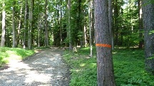  Blick auf die Wanderstrecke 
