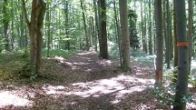  Blick auf die Wanderstrecke 